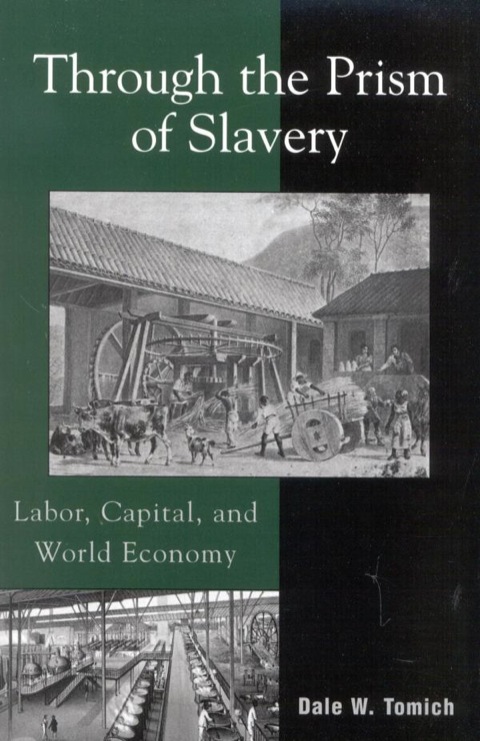 Cover image for book Through the Prism of Slavery