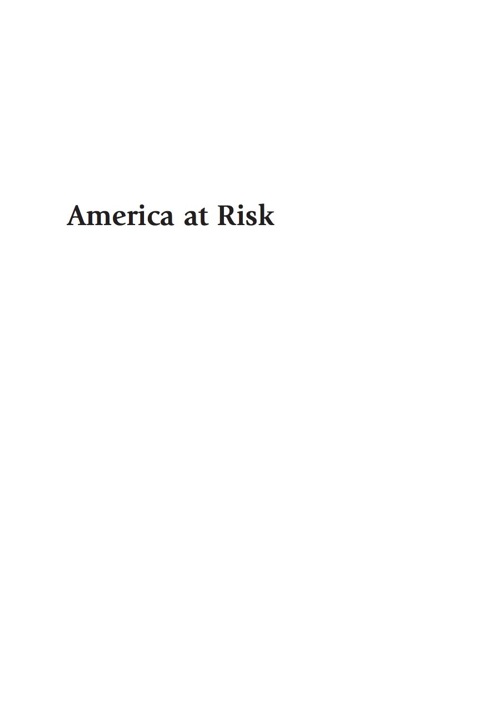 Cover image for book America at Risk