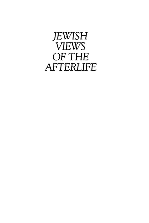 Cover image for book Jewish Views of the Afterlife