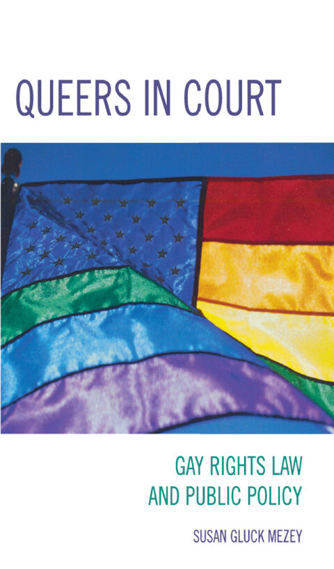 Cover image for book Queers in Court