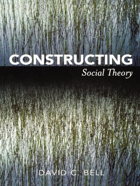 Cover image for book Constructing Social Theory
