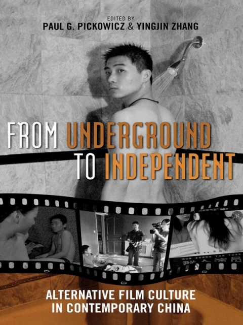 Cover image for book From Underground to Independent