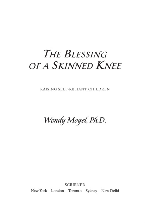 Cover image for book The Blessing of a Skinned Knee