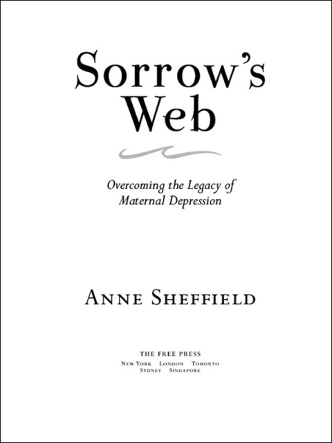 Cover image for book Sorrow's Web