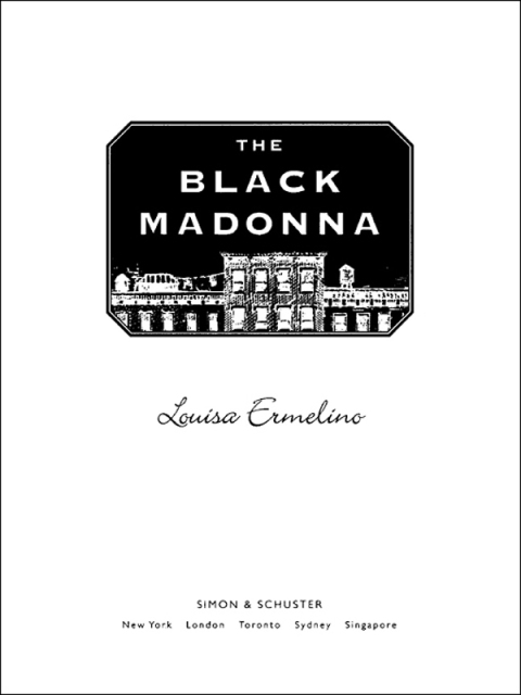Cover image for book The Black Madonna