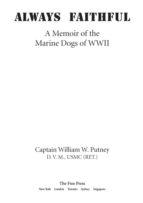 Cover image for book Always Faithful