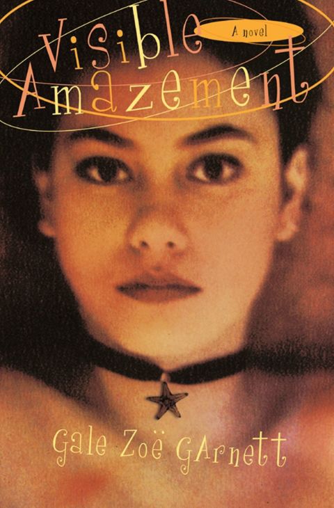 Cover image for book Visible Amazement