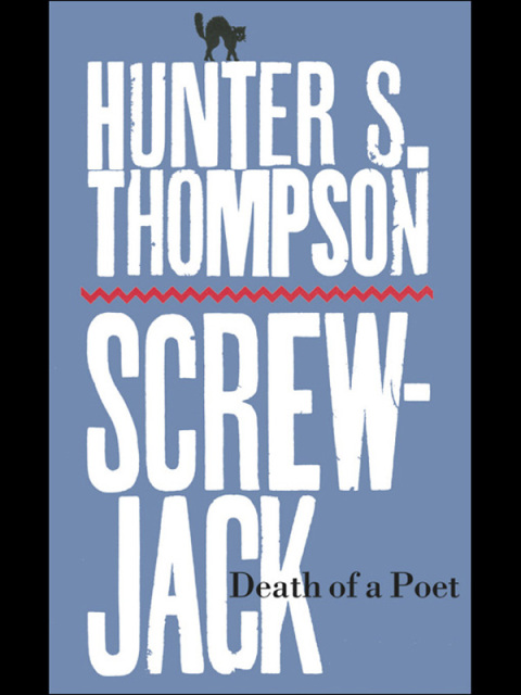 Cover image for book Death of a Poet