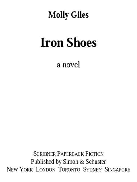 Cover image for book Iron Shoes