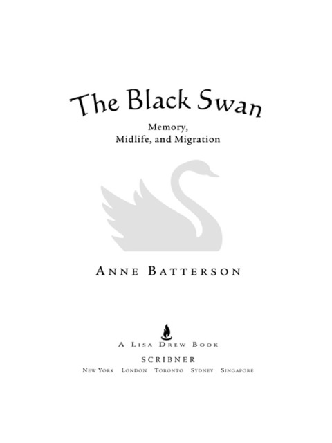 Cover image for book The Black Swan