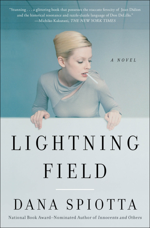 Cover image for book Lightning Field