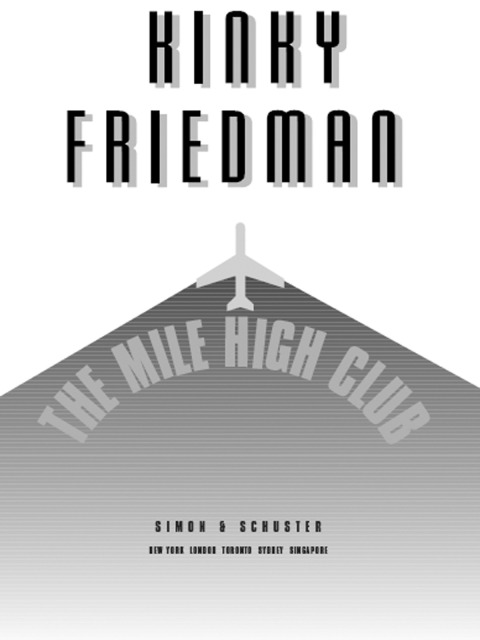 Cover image for book The Mile High Club