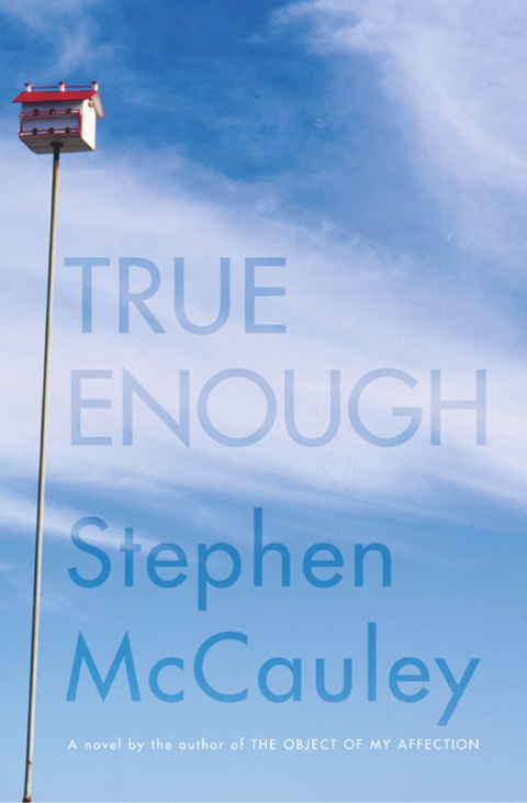 Cover image for book True Enough