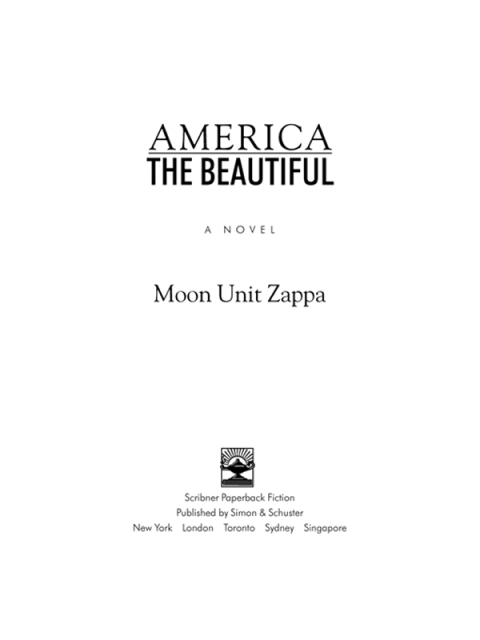 Cover image for book America the Beautiful