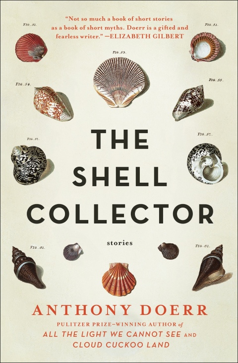 Cover image for book The Shell Collector