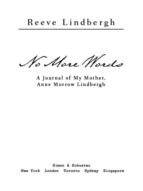 Cover image for book No More Words