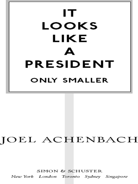 Cover image for book It Looks Like a President Only Smaller