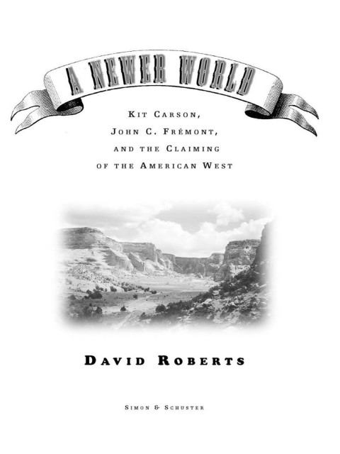 Cover image for book A Newer World