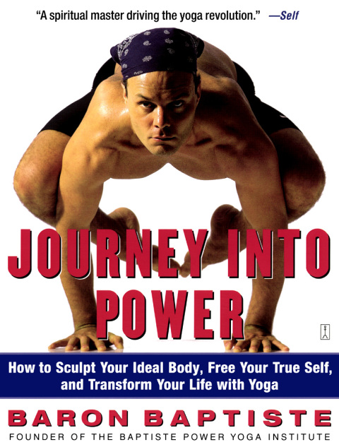 Cover image for book Journey Into Power