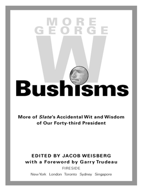 Cover image for book More George W. Bushisms