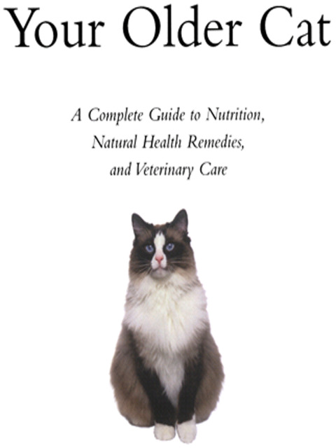 Cover image for book Your Older Cat