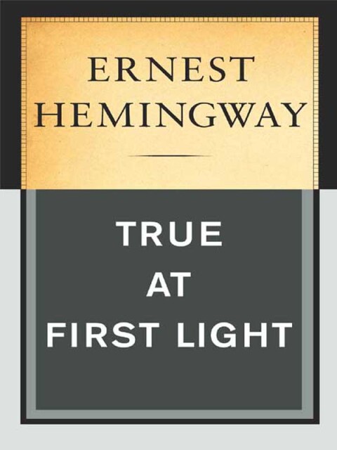 Cover image for book True at First Light