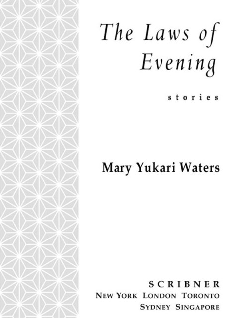 Cover image for book The Laws of Evening