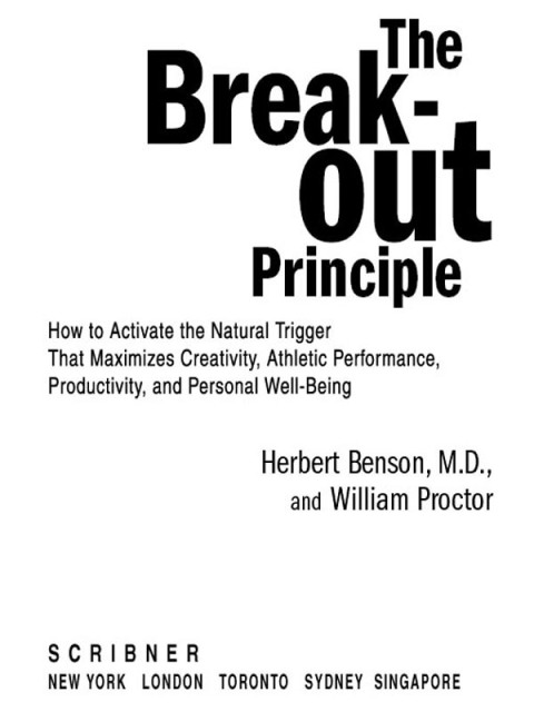 Cover image for book The Breakout Principle