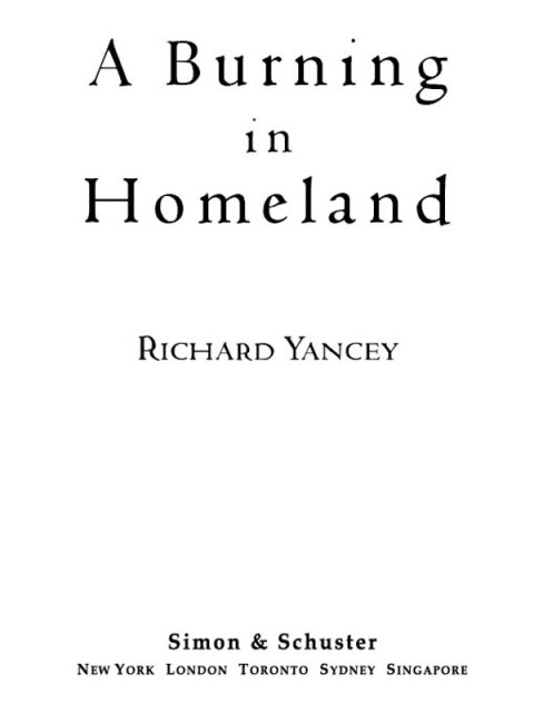 Cover image for book A Burning in Homeland