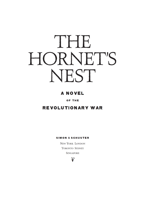 Cover image for book The Hornet's Nest