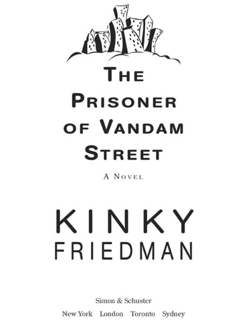 Cover image for book The Prisoner of Vandam Street