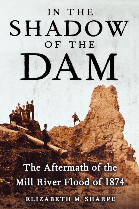 Cover image for book In the Shadow of the Dam