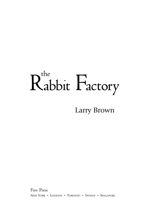 Cover image for book The Rabbit Factory
