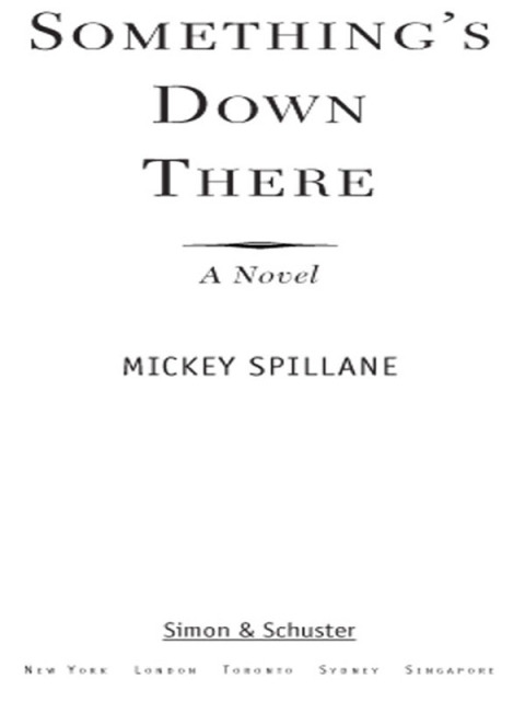 Cover image for book Something's Down There