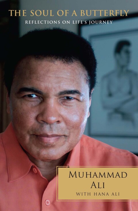 Cover image for book The Soul of a Butterfly