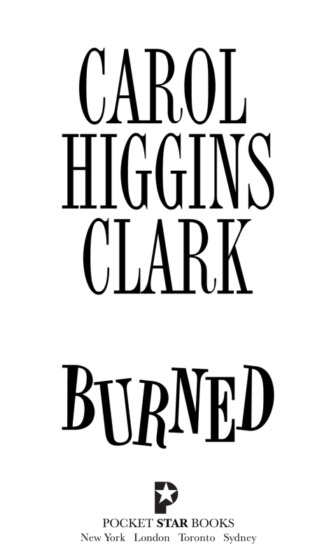 Cover image for book Burned