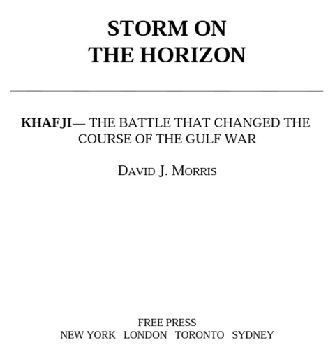 Cover image for book Storm on the Horizon