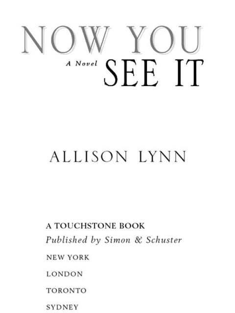 Cover image for book Now You See It