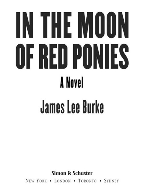 Cover image for book In the Moon of Red Ponies