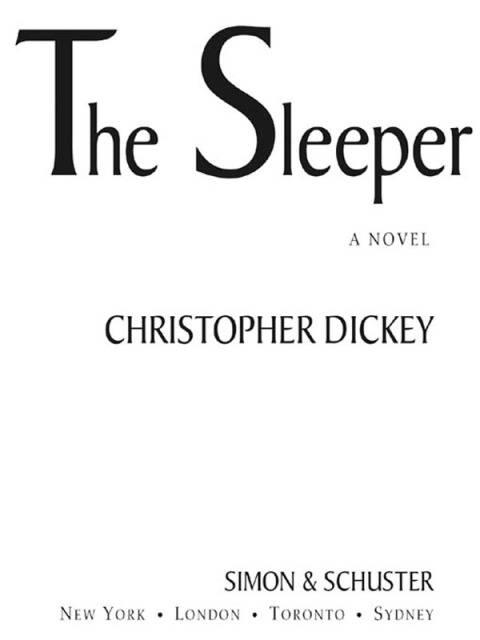 Cover image for book The Sleeper