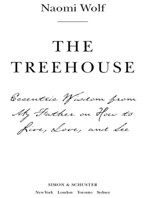 Cover image for book The Treehouse