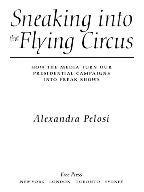 Cover image for book Sneaking Into the Flying Circus