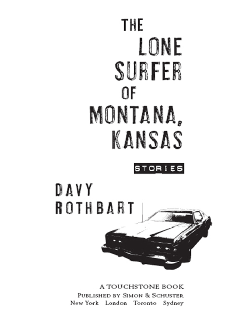 Cover image for book The Lone Surfer of Montana, Kansas