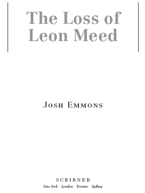 Cover image for book The Loss of Leon Meed