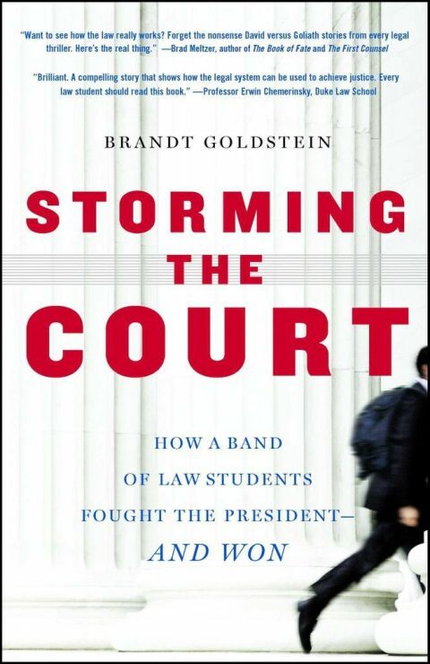 Cover image for book Storming the Court
