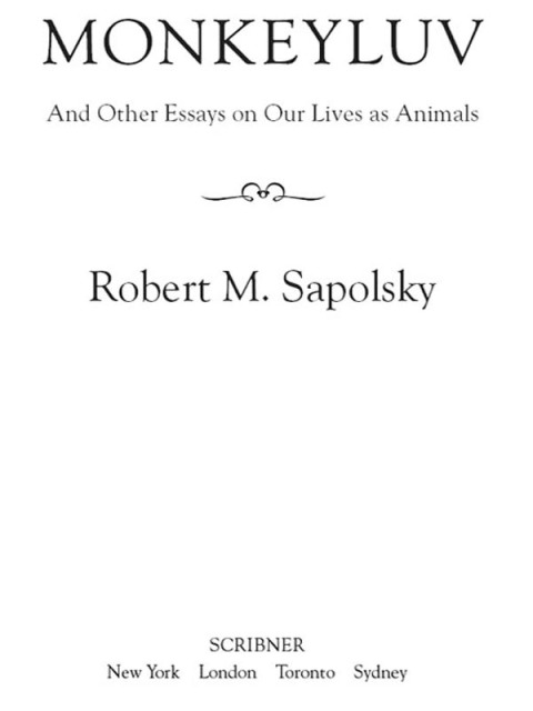 Cover image for book Monkeyluv