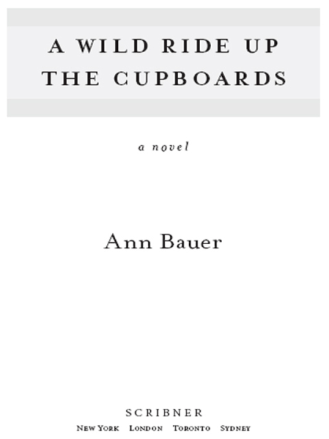 Cover image for book A Wild Ride Up the Cupboards