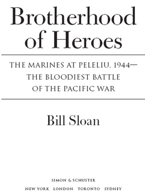 Cover image for book Brotherhood of Heroes