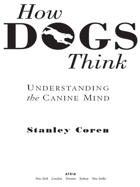 Cover image for book How Dogs Think
