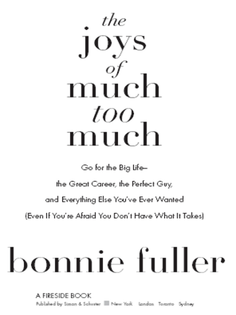Cover image for book The Joys of Much Too Much